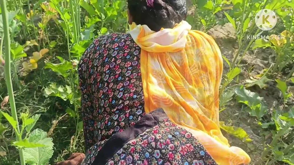 Desi Aunty Hard Fucked in Mustard Field – Dewar Outdoor Sex Scene